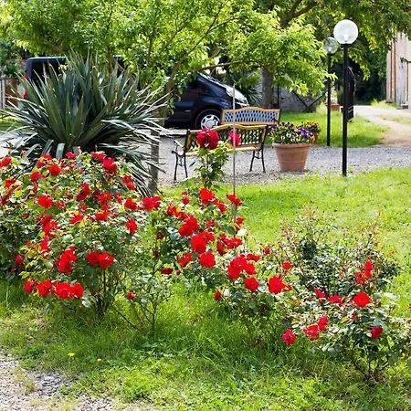 Fattoria Il Casone 3*